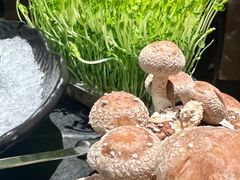 -捞王猪肚鸡火锅(金华义乌之心店)