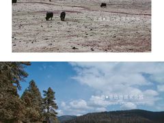 -普达措国家公园