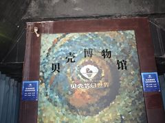 -贝壳梦幻世界