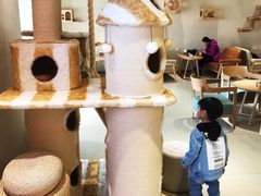 -藏猫猫咖啡主题馆(中央大道店)