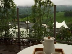 -帐篷客·溪龙茶谷度假酒店