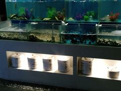 -吾悦广场(南京鼓楼店)