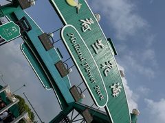 -荷兰花海