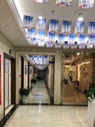 -碧莲盛·不剃发植发