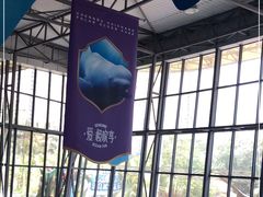 -海合安成都极地海洋公园