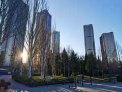 -大望京公园