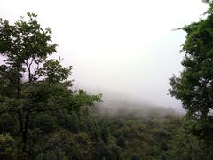 -湖南嵩云山国家森林公园