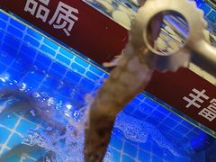 -四囍码头海鲜烧烤自助火锅(外滩南京东路悦荟广场店)