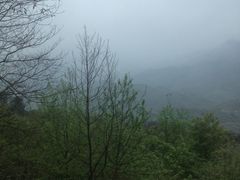 -广州市石门国家森林公园