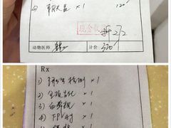 爱雅宝贝动物医院-中农大我爱我爱24h动物医院·中医针灸·猫专科·骨科医疗中心(双井店)