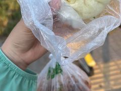 -中国中医科学院望京医院(院本部)