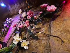 -醉小酒馆·川菜·江湖菜·重庆菜(观音桥旗舰店)