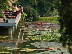 -国家植物园南园