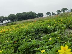 -东钱湖旅游度假区