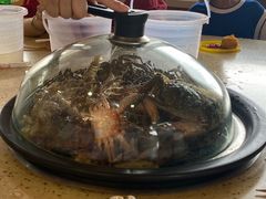 -港畔赶海蒸汽海鲜烧烤自助(仙螺岛店)