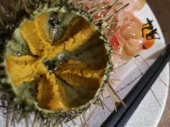 新鲜海胆-割烹旭日本料理(龙湖狮山天街店)