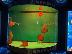 -厦门海底世界