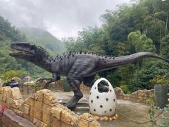 -将军关探险漂流