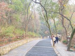-灵岩山风景区