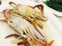 -新海利海鲜城·41年珠海老字号(夏湾店)