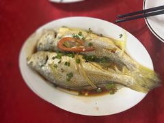 清蒸黄花鱼-蛇口康乐快餐鱼仔档(翠苑小区店)