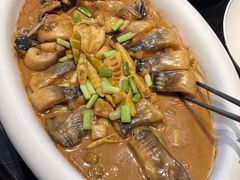 -沈灶河豚宴·河豚融合餐厅(汉中路店)