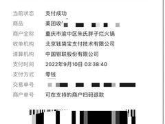-朱氏胖子烂火锅(洪崖洞店)