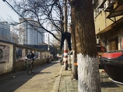 -老太皮肚面