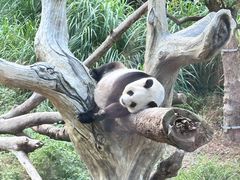 -宁波野生动物园