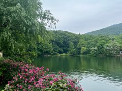 -紫金山山顶公园