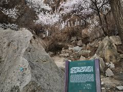 -北京凤凰岭
