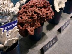 -洛阳龙门海洋馆