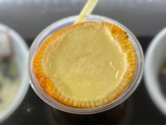 雪燕香橙炖蛋-无影脚佛山陈氏盲公丸始创店(飞鸿街店)