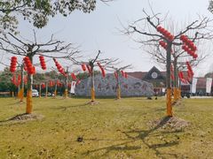 -上海海湾国家森林公园