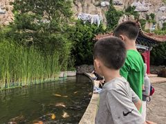 -西霞口神雕山野生动物世界