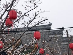 -武汉园博园(武汉自然博物馆)