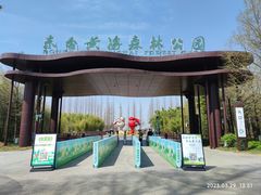 -黄海国家森林公园