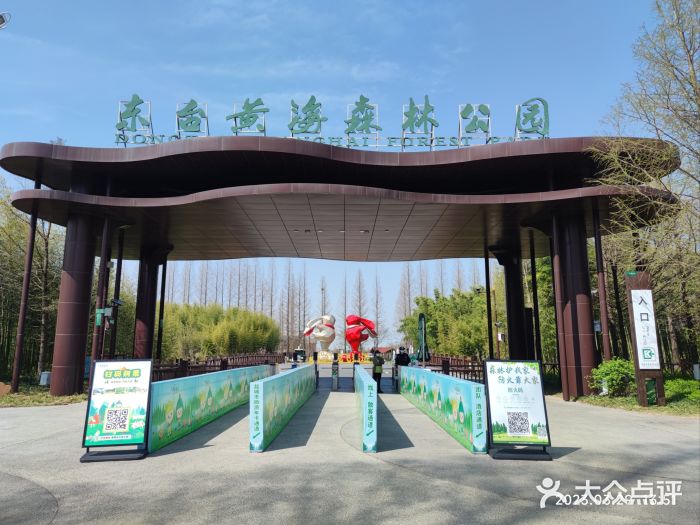 黄海国家森林公园图片