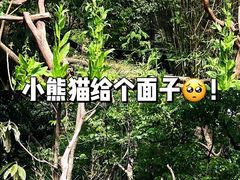 -红山森林动物园