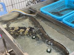 -新渔享海鲜餐厅(广海渔人码头店)