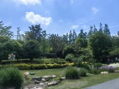 -上海长兴岛郊野公园