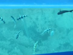 -蓝湾海滩