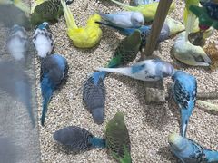 -三旗百汇商品城