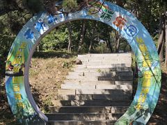 -沂蒙山旅游区云蒙景区(蒙山国家森林公园)