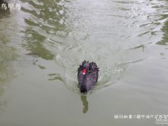 -宁波九龙湖开元度假村