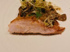 火鸡-蝶舍·MAISON PAPILLON