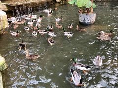 -泉州海丝野生动物世界