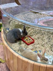 -卡通尼·Safari非洲探索乐园·生日会(金桥国际商业广场店)