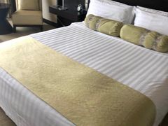 -国家会议中心大酒店