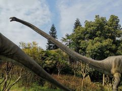 -自贡恐龙博物馆